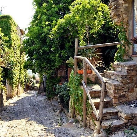 Albero Maestro On Bussana Seaside Apartment Sanremo Bagian luar foto