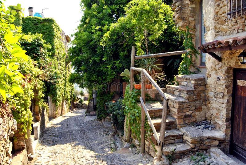 Albero Maestro On Bussana Seaside Apartment Sanremo Bagian luar foto